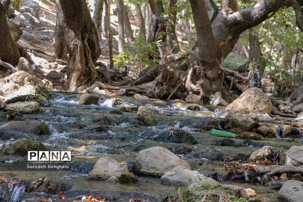 طبیعت زیبای تنگه غوره دان