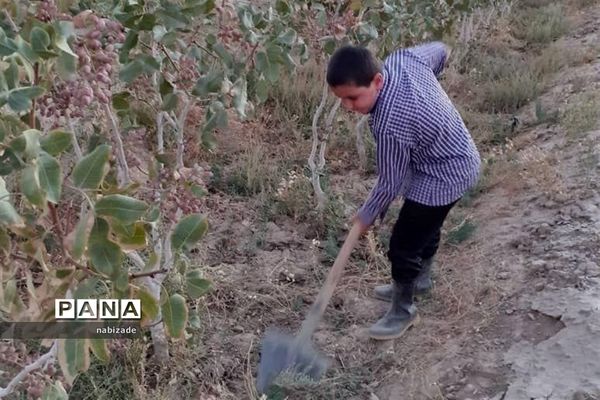 جشن حرفه‌آموزی دانش‌آموزان دبستان شهید مدرس بهاباد