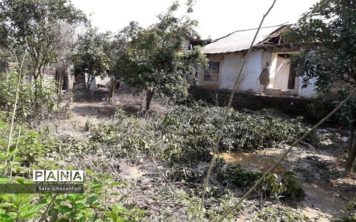 خسارت باران به ۳۰ واحد مسکونی در گلوگاه