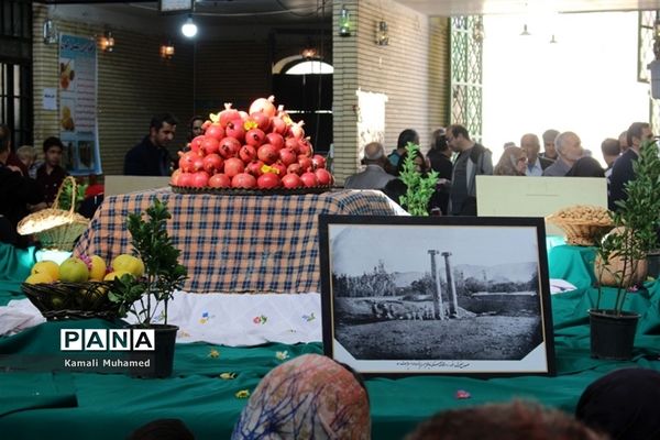 اولین جشنواره انار در روستای خورهه شهرستان محلات