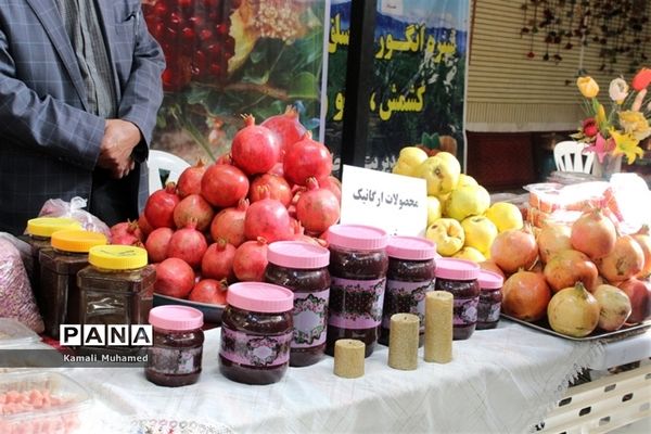 اولین جشنواره انار در روستای خورهه شهرستان محلات