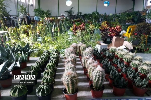 چهارمین نمایشگاه گل و گیاه زینتی محمودآباد