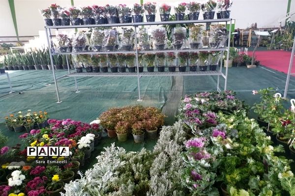 چهارمین نمایشگاه گل و گیاه زینتی محمودآباد