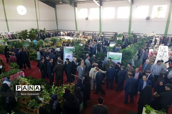 چهارمین نمایشگاه گل و گیاه زینتی محمودآباد