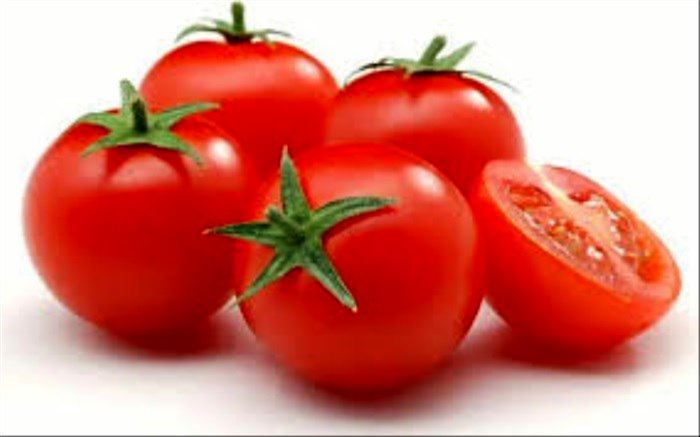 مدیر جهاد کشاورزی شهرستان فنوج: برداشت گوجه خارج از فصل در این شهرستان شروع شد