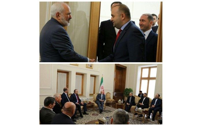 دیدار رئیس گروه دوستی پارلمانی گرجستان و ایران با ظریف
