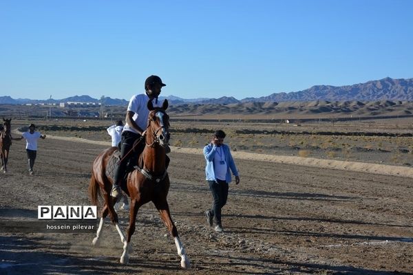 برگزاری مسابقات اسب سواری در شهرستان بیرجند