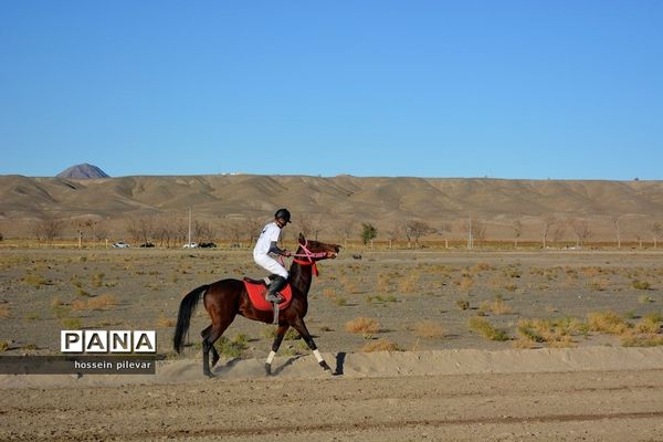 برگزاری مسابقات اسب سواری در شهرستان بیرجند