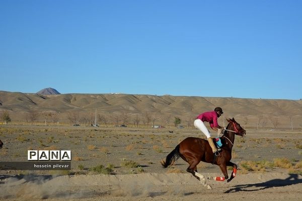 برگزاری مسابقات اسب سواری در شهرستان بیرجند