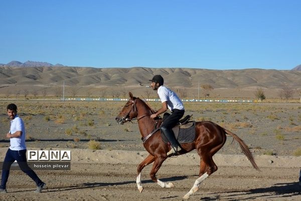 برگزاری مسابقات اسب سواری در شهرستان بیرجند