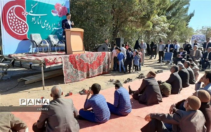 برگزاری نخستین جشنواره انار در دیار ترشیز