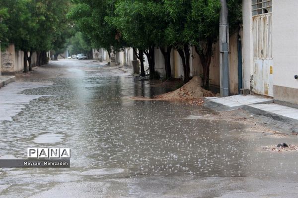 بارندگی  در بوشهر