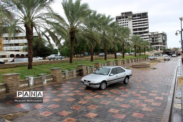 بارندگی  در بوشهر