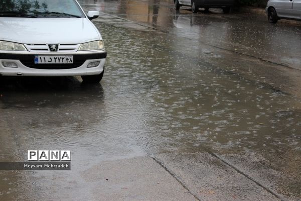 بارندگی  در بوشهر