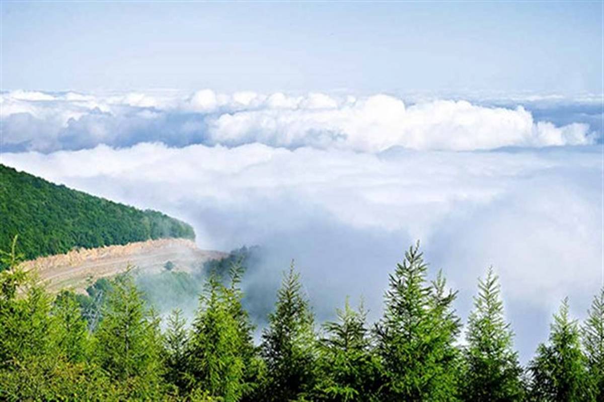 نجات گردشگران مفقودی جنگل ابر