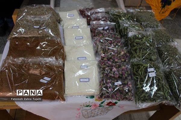 اولین جشنواره دستاوردهای کانون های فرهنگی تربیتی استان سمنان-1