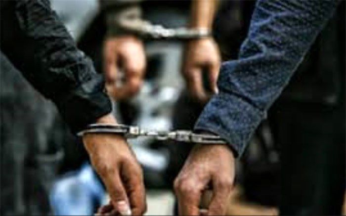 عوامل تخریب دو فروشگاه زنجیره ای در کرج با تلاش مأموران نیروی انتظامی دستگیر شدند