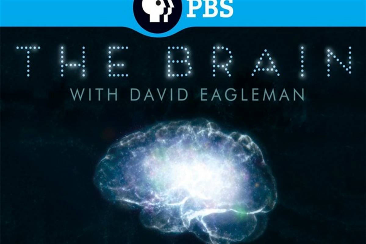 مجموعه جذاب «داستان مغز با دیوید ایگلمن»  برای اولین بار در قاب شبکه چهار