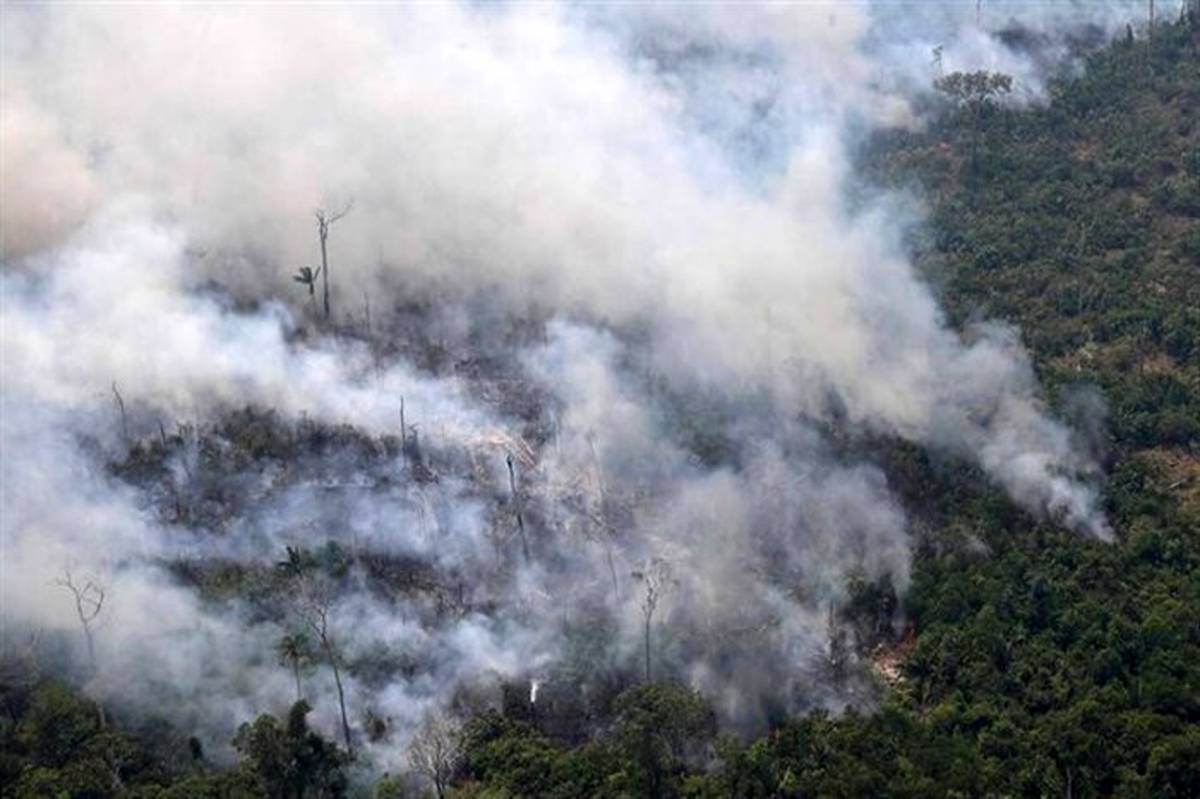 تاثیر آتش‌سوزی‌های آمازون بر ذوب شدن یخچال‌های طبیعی