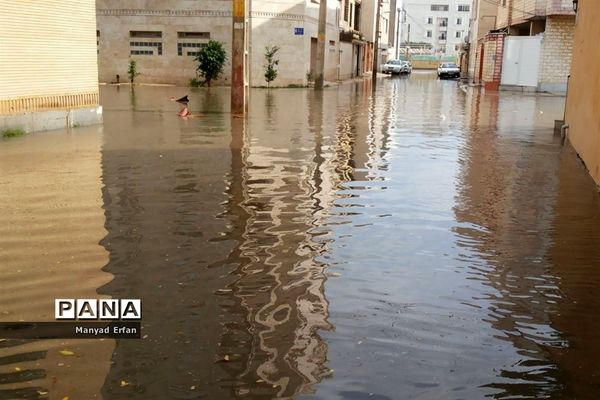 بارندگی شدید امروز در بوشهر