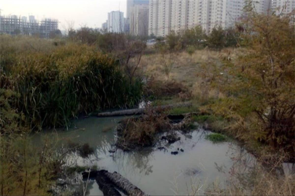 این تالاب راز بوی بد دریاچه غرب تهران است؟