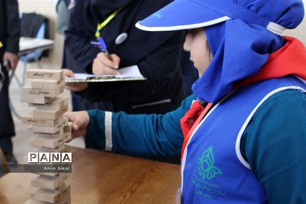مسابقات بازی‌های فکری، آموزشی و سرگرمی رویش ناحیه 1 شیراز