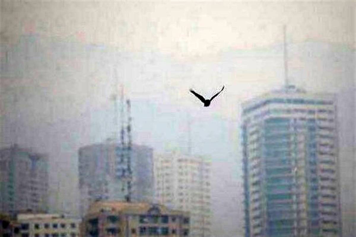 استمرار کیفیت هوای ناسالم پایتخت تا روز شنبه