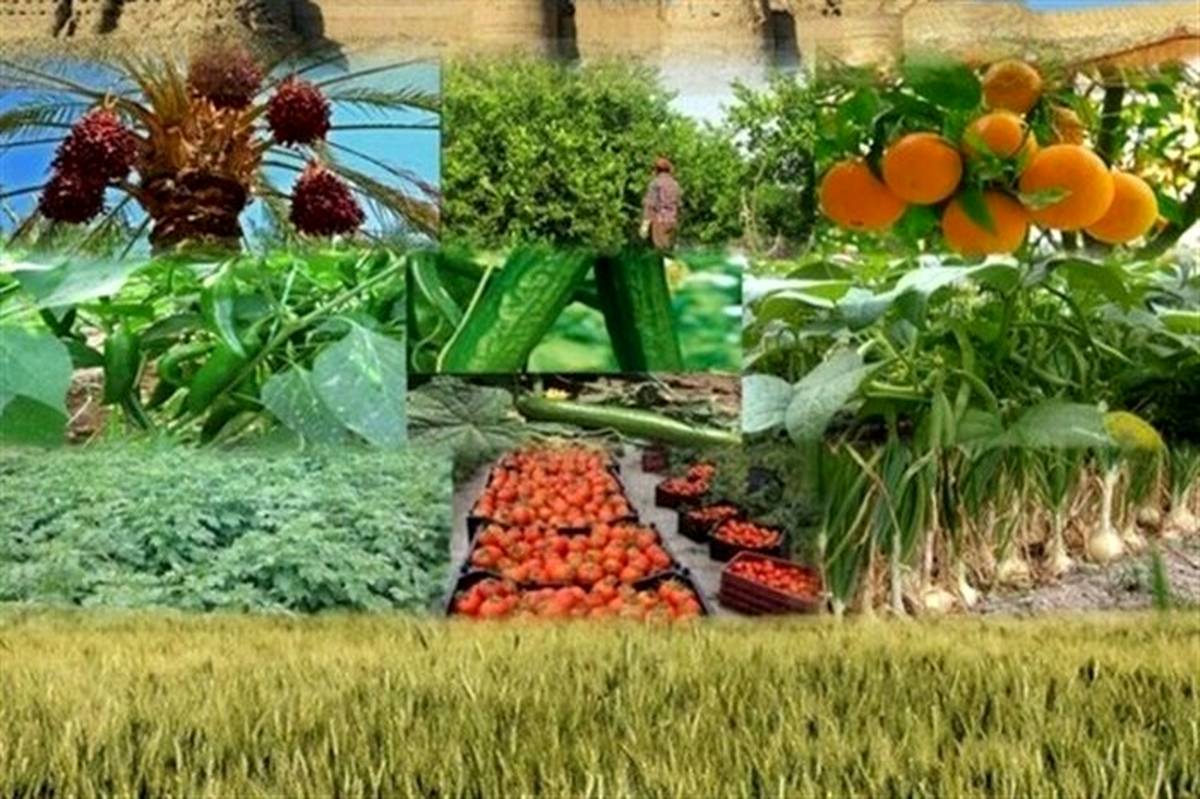 اجرای طرح پایش محصولات کشاورزی در ۷ استان