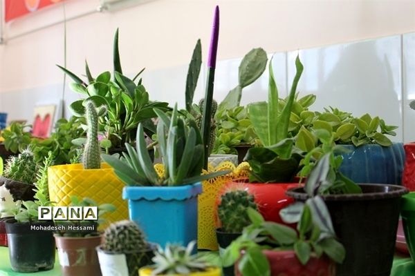 مراسم نمادین روز جهانی خاک دبستان یونس فاطمی