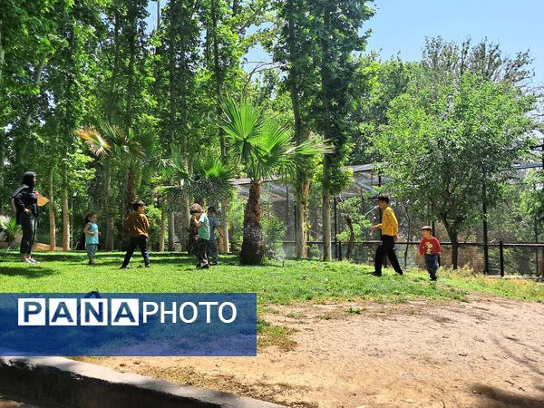 بازدید از باغ وحش ارم ،تجربه‌ای بی‌نظیر در دنیای شگفت‌انگیز حیوانات 