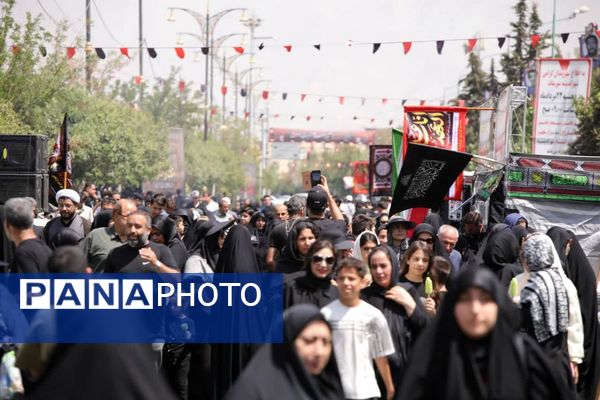 عاشقان حسینی در اربعین، از اندیشه تا کربلا