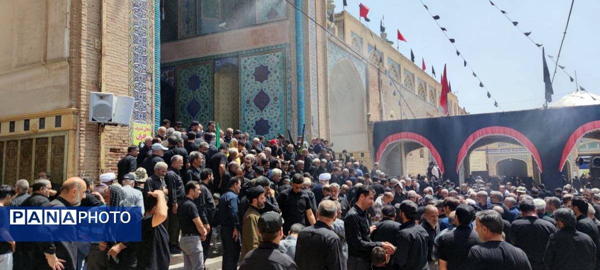 دلهای جامانده، گرد حرم سلطان علی(ع) در مشهد اردهال به شور افتادند
