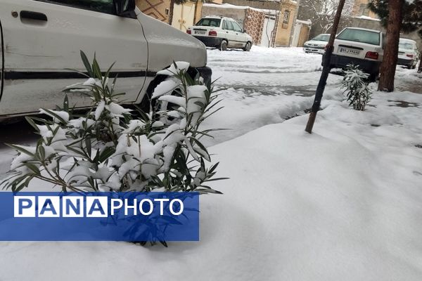 خراسان رضوی به استقبال زمستان رفت