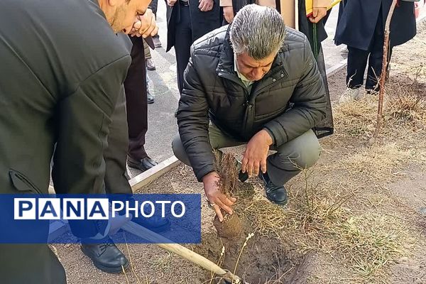 مراسم درخت‌کاری در زنجان