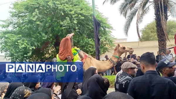 مراسم عزاداری روز عاشورا در میناب