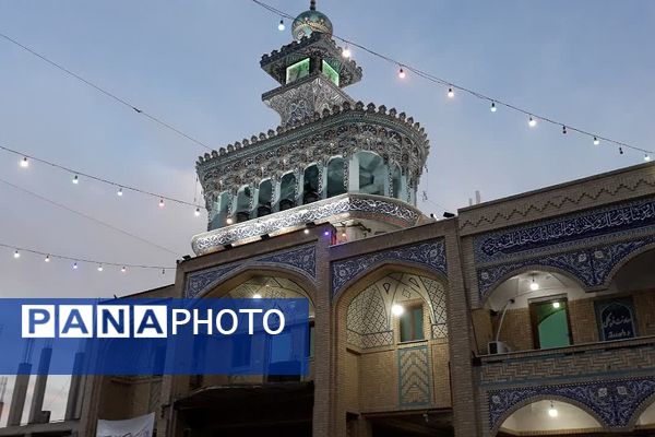 جشن نور در بارگاه عشق؛ حرم مطهر پیشوا در شب میلاد امام رضا (ع) غرق در شور و شعف