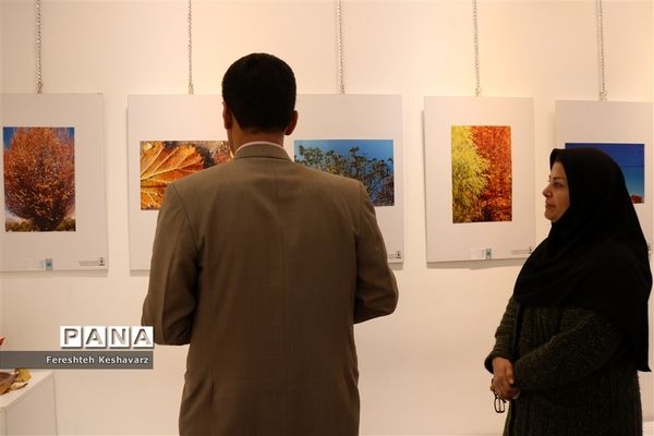 برگزاری نمایشگاه  عصر پاییزی در شیراز