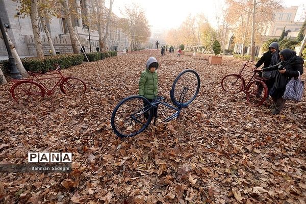 پاییز برگ در میدان مشق