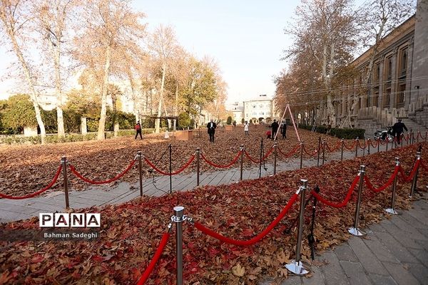 پاییز برگ در میدان مشق