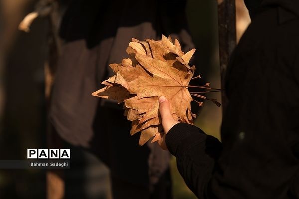 پاییز برگ در میدان مشق