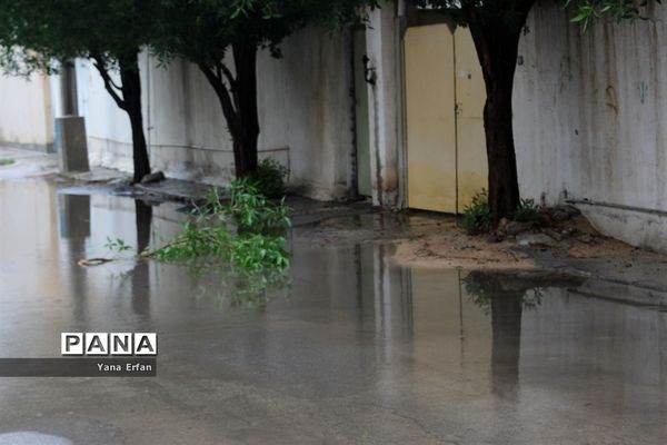 بارندگی امروز در بوشهر