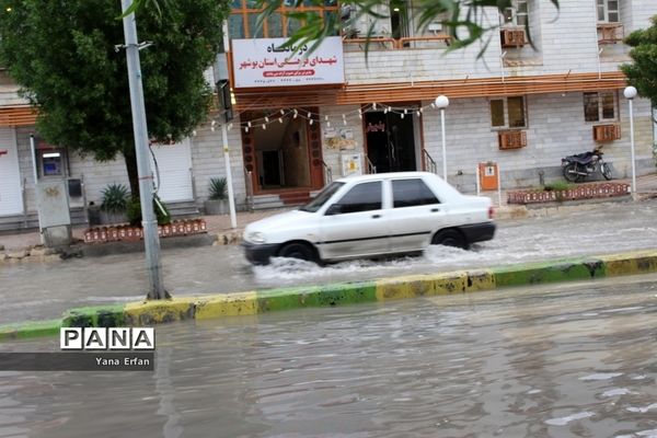 بارندگی امروز در بوشهر