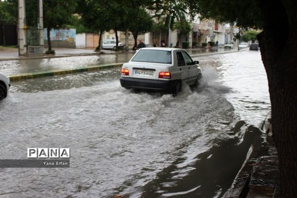 بارندگی امروز در بوشهر