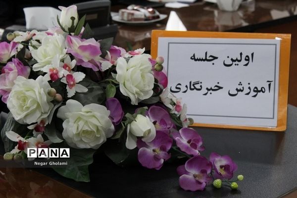 برگزاری کارگاه های آموزش خبرنگاری پانا