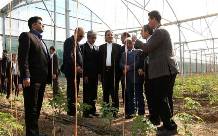 افتتاح 3 طرح بزرگ کشاورزی در استان بوشهر با حضور معاون اول رئیس جمهور