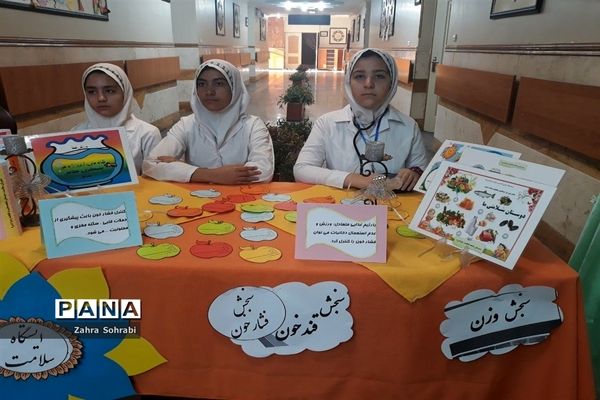 افتتاحیه طرح سفیران سلامت درآموزشگاه شاهد فاطمه الزهرا(س) اسلامشهر
