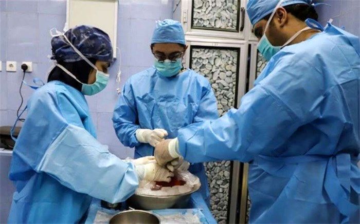 چهل و یکمین اهدای عضو بیمار مرگ مغزی در یزد انجام شد