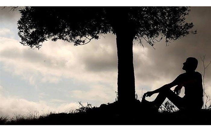 مجید برزگر: مستند «درخت زندگی» یادآور عباس کیارستمی  است