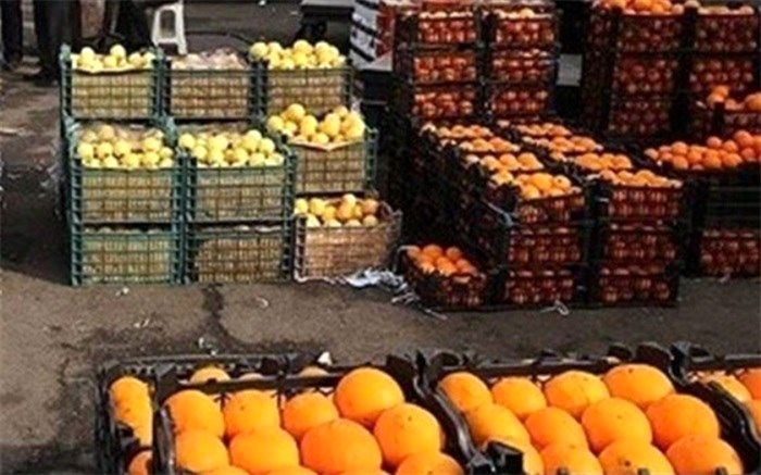 خرید و تامین ۱۴۰۰ تن میوه شب عید در استان اردبیل