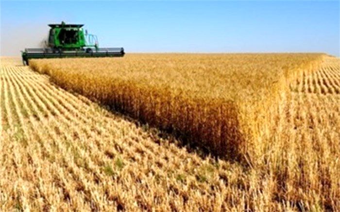 رتبه اول فارس در تولید محصولات کشاورزی 
